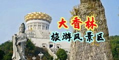 骚逼插穴视频中国浙江-绍兴大香林旅游风景区